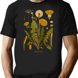 Dandelion Antique Botanical Illustration T-Shirt for Men & Women, T-Shirts Graphic Tee - Black