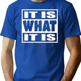 It Is What It Is - Man Woman Funny Gift T-Shirt T-Shirt for Men & Women, T-Shirts Graphic Tee - Blue