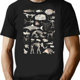 Paleontology Illustration T-Shirt for Men & Women, T-Shirts Graphic Tee - Black