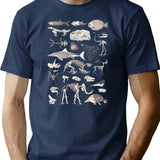 Paleontology Illustration T-Shirt for Men & Women, T-Shirts Graphic Tee - Navy