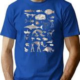 Paleontology Illustration T-Shirt for Men & Women, T-Shirts Graphic Tee - Blue