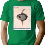 Weird Fish Vintage T-Shirt for Men & Women, T-Shirts Graphic Tee - Green
